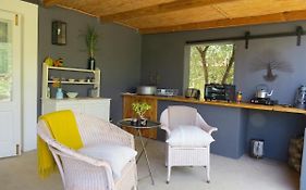Olive Grove Pip